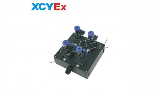 BXS8030系列防爆防腐电源插座箱(IIC)